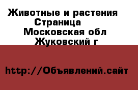  Животные и растения - Страница 23 . Московская обл.,Жуковский г.